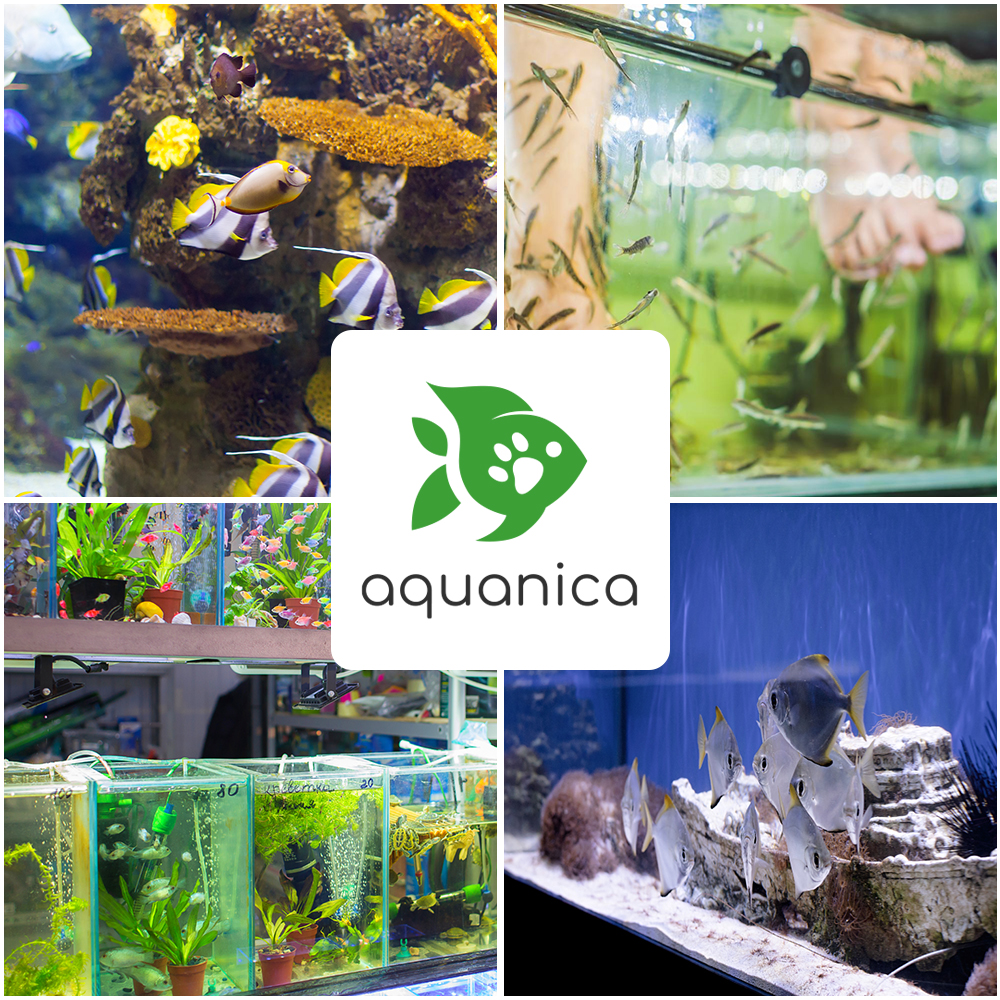 Aquanica  I   Doğadan İlham, Bilimden Güç Alıyoruz Hakkımızda